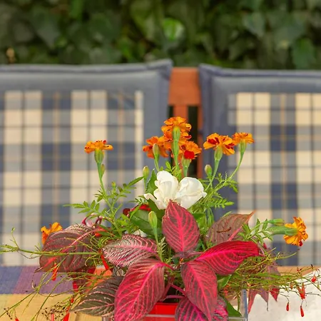 Σπίτι διακοπών Vasiliki Agios Gordios